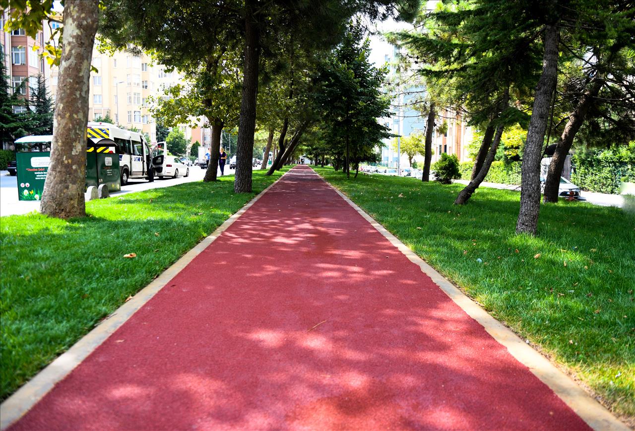 yürüyüş yolları